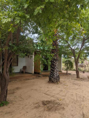 Whisky Point Hotel Meera